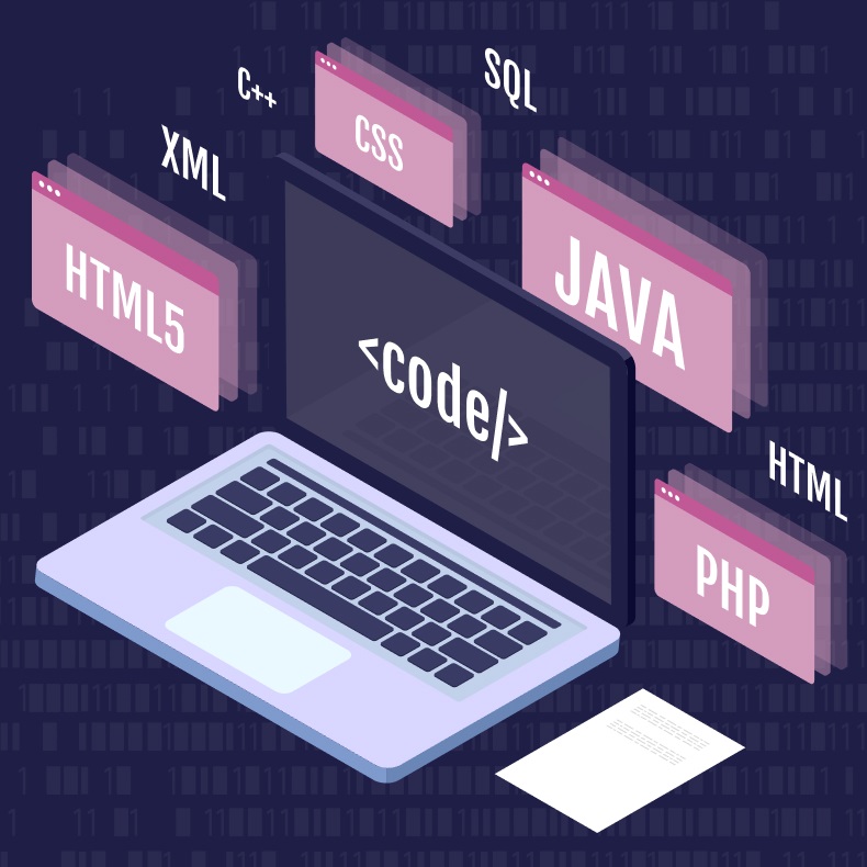 Professional Web Application Programming Services